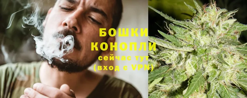 Бошки марихуана OG Kush  ссылка на мегу онион  Ворсма 